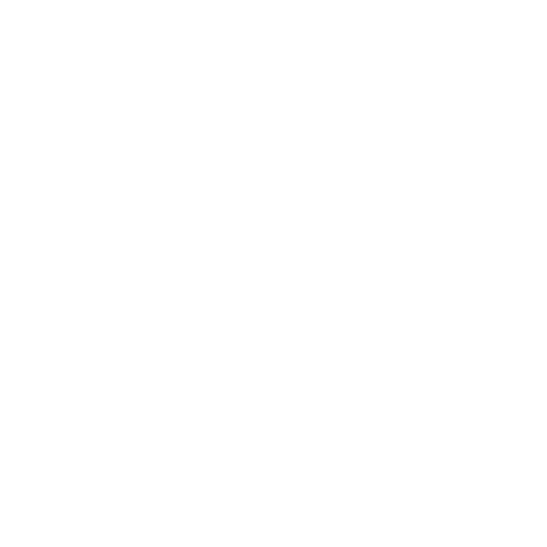 AP Logo White